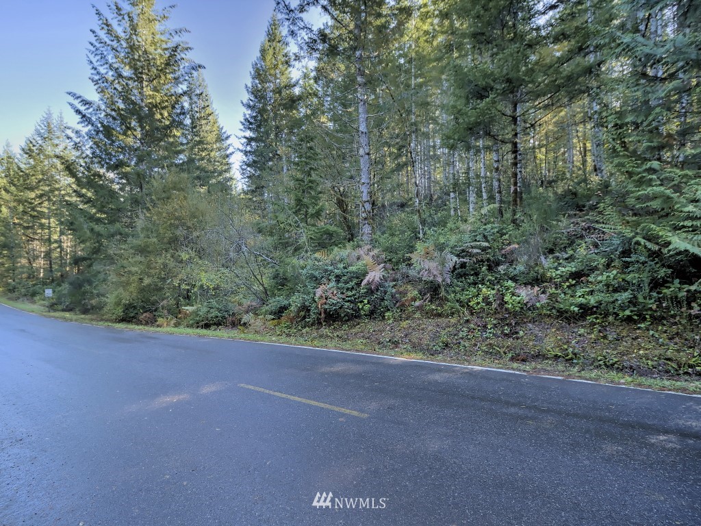 0 Tr A & B Hurd Road Belfair, WA 98528 - Photo 11 of 13 Gallery Image 11
