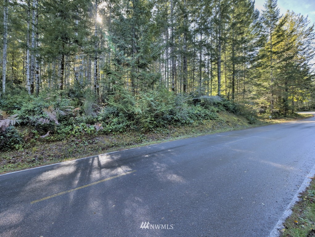 0 Tr A & B Hurd Road Belfair, WA 98528 - Photo 12 of 13 Gallery Image 12