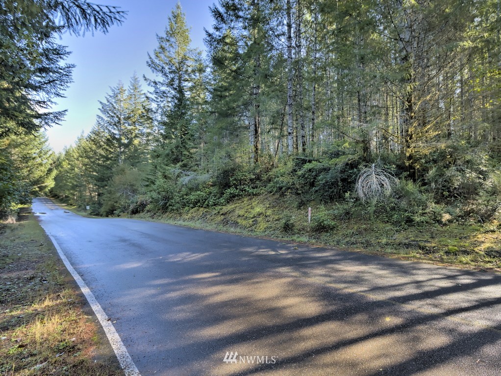 0 Tr A & B Hurd Road Belfair, WA 98528 - Photo 13 of 13 Gallery Image 13