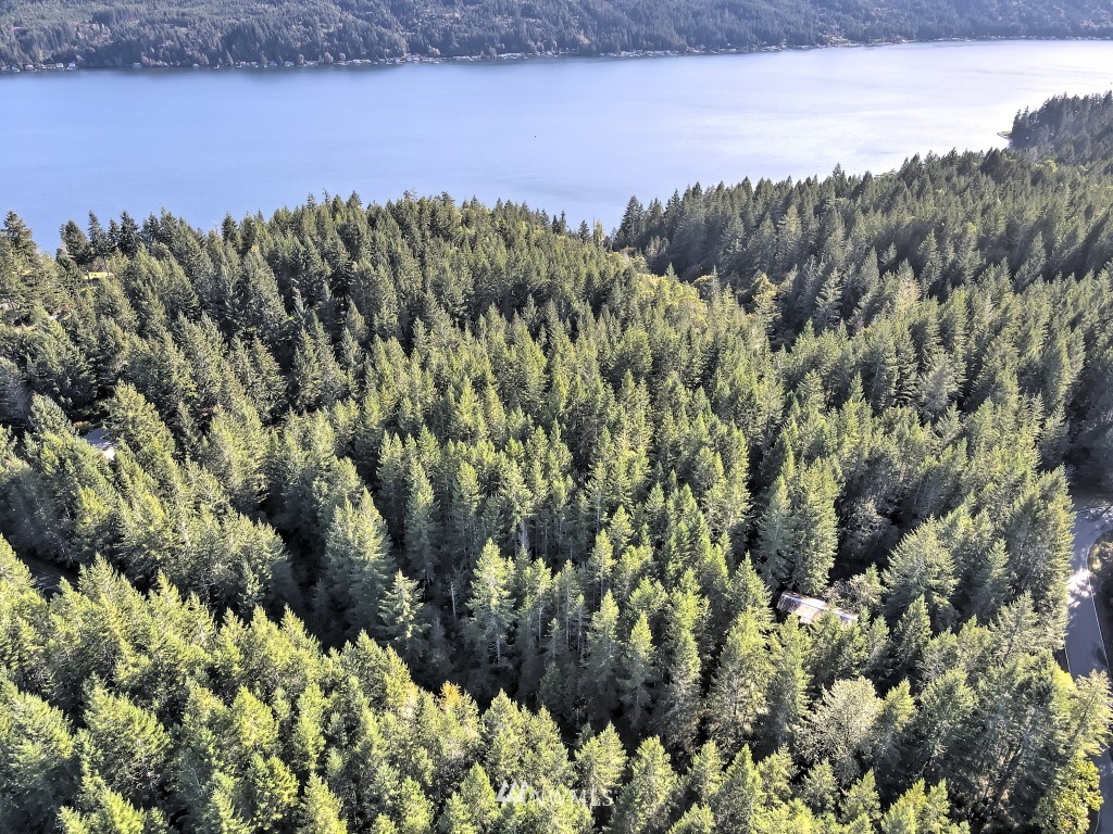 0 Tr A & B Hurd Road Belfair, WA 98528 - Photo 3 of 13 Gallery Image 3