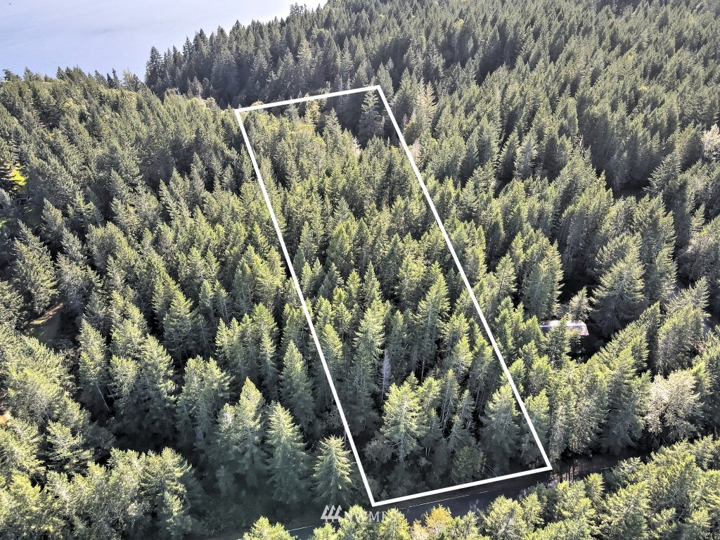 0 Tr A & B Hurd Road Belfair, WA 98528 - Photo 4 of 13 Gallery Image 4