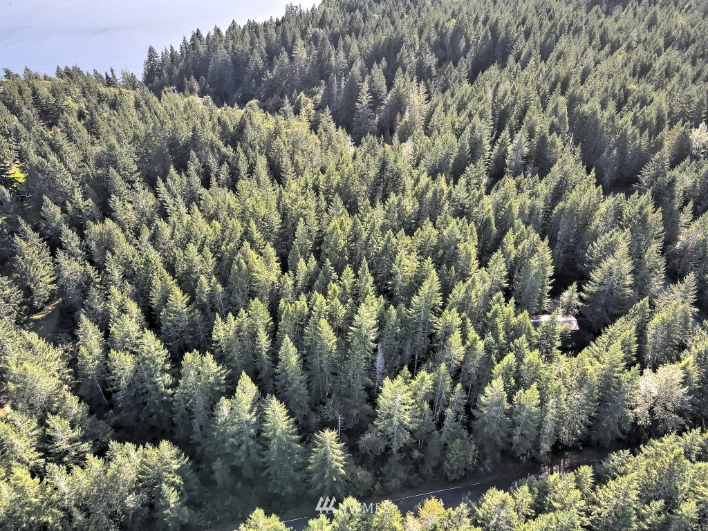 0 Tr A & B Hurd Road Belfair, WA 98528 - Photo 5 of 13 Gallery Image 5