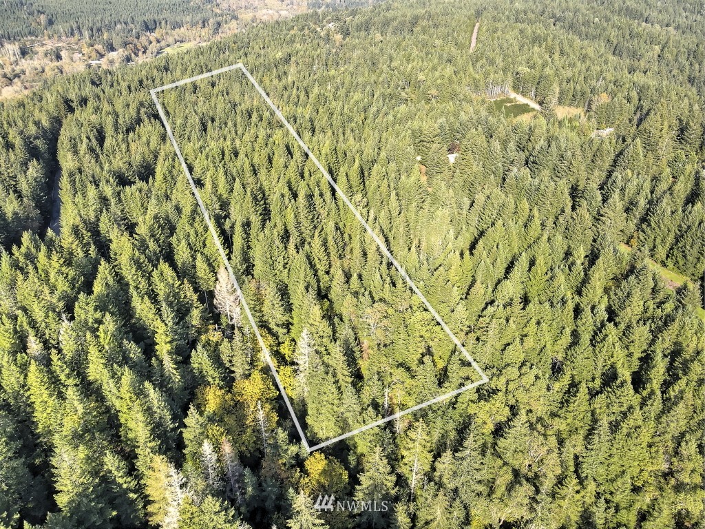 0 Tr A & B Hurd Road Belfair, WA 98528 - Photo 8 of 13 Gallery Image 8