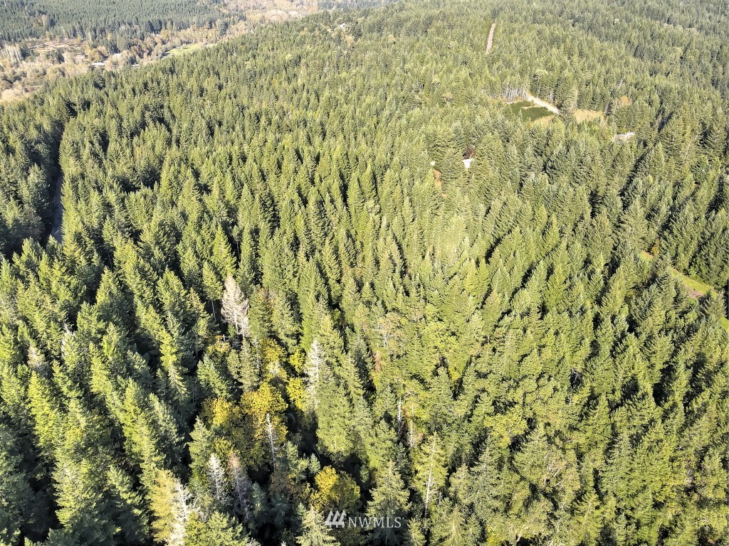 0 Tr A & B Hurd Road Belfair, WA 98528 - Photo 9 of 13 Gallery Image 9