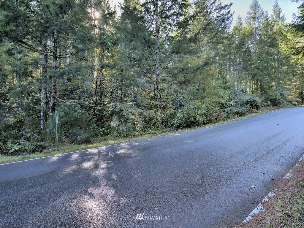 0 Tr A & B Hurd Road Belfair, WA 98528 - Photo 10 of 13 Gallery Image 10