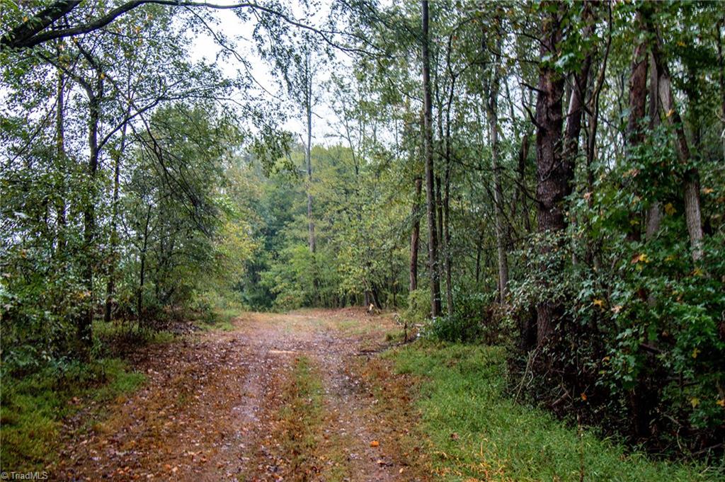 6850 Holts Store Road Burlington, NC 27215 - Photo 3 of 9 Gallery Image 3
