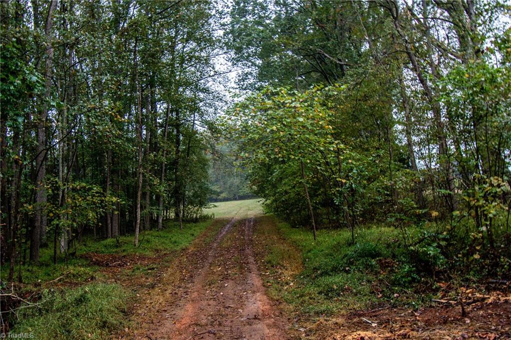 6850 Holts Store Road Burlington, NC 27215 - Photo 9 of 9 Gallery Image 9