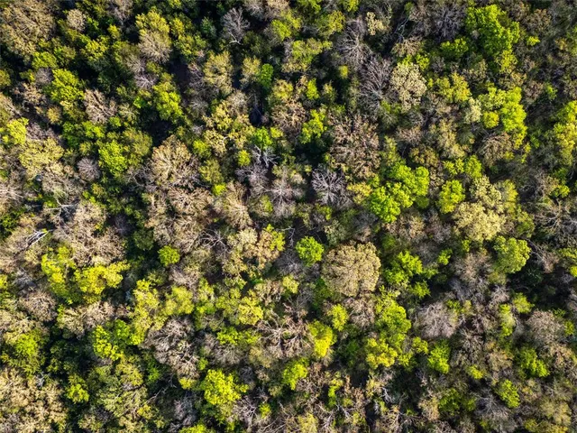 a view of lake view and mountain view