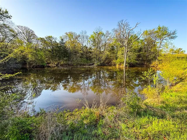 a view of outdoor space and trees