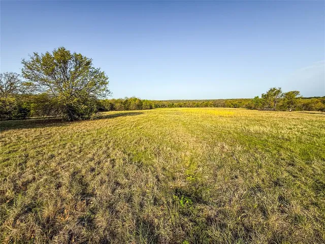 a backyard of a house with lots of trees