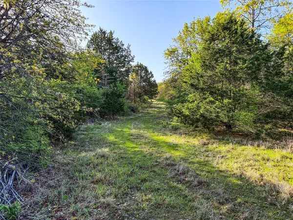 a big yard with lots of green space and trees