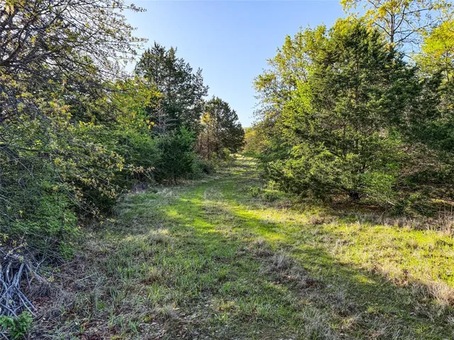 a big yard with lots of green space and trees