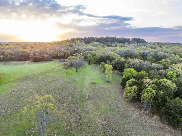 a view of a lush green field