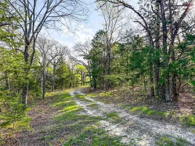 a view of a yard with an outdoor space