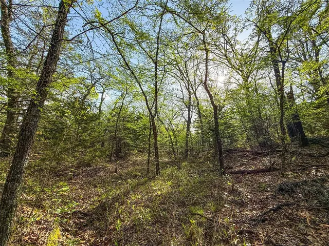 a swimming pool with wooden fence