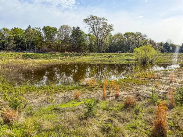 a view of an ocean from a yard