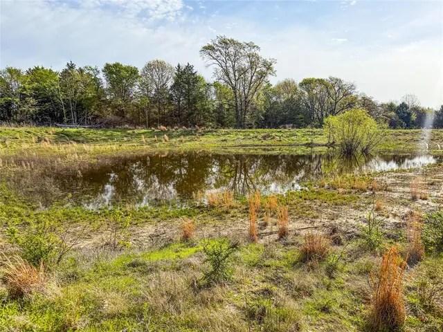 a view of an ocean from a yard