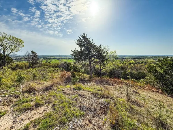 a view of a yard with plants and trees