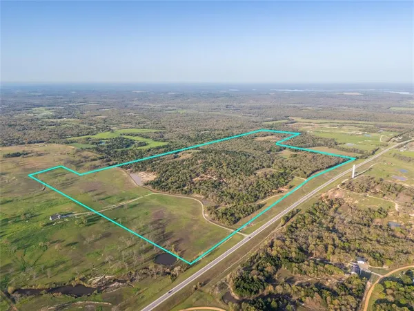 a view of a city with lush green forest