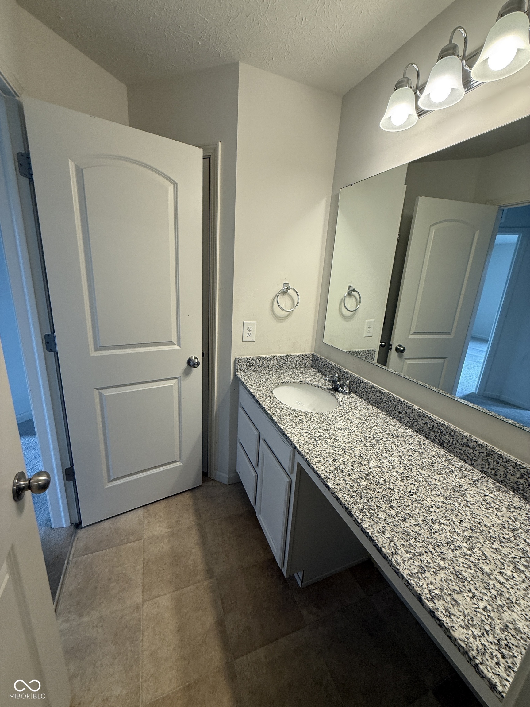 6916 Diamondleaf Way Brownsburg, IN 46112 - Photo 13 of 18