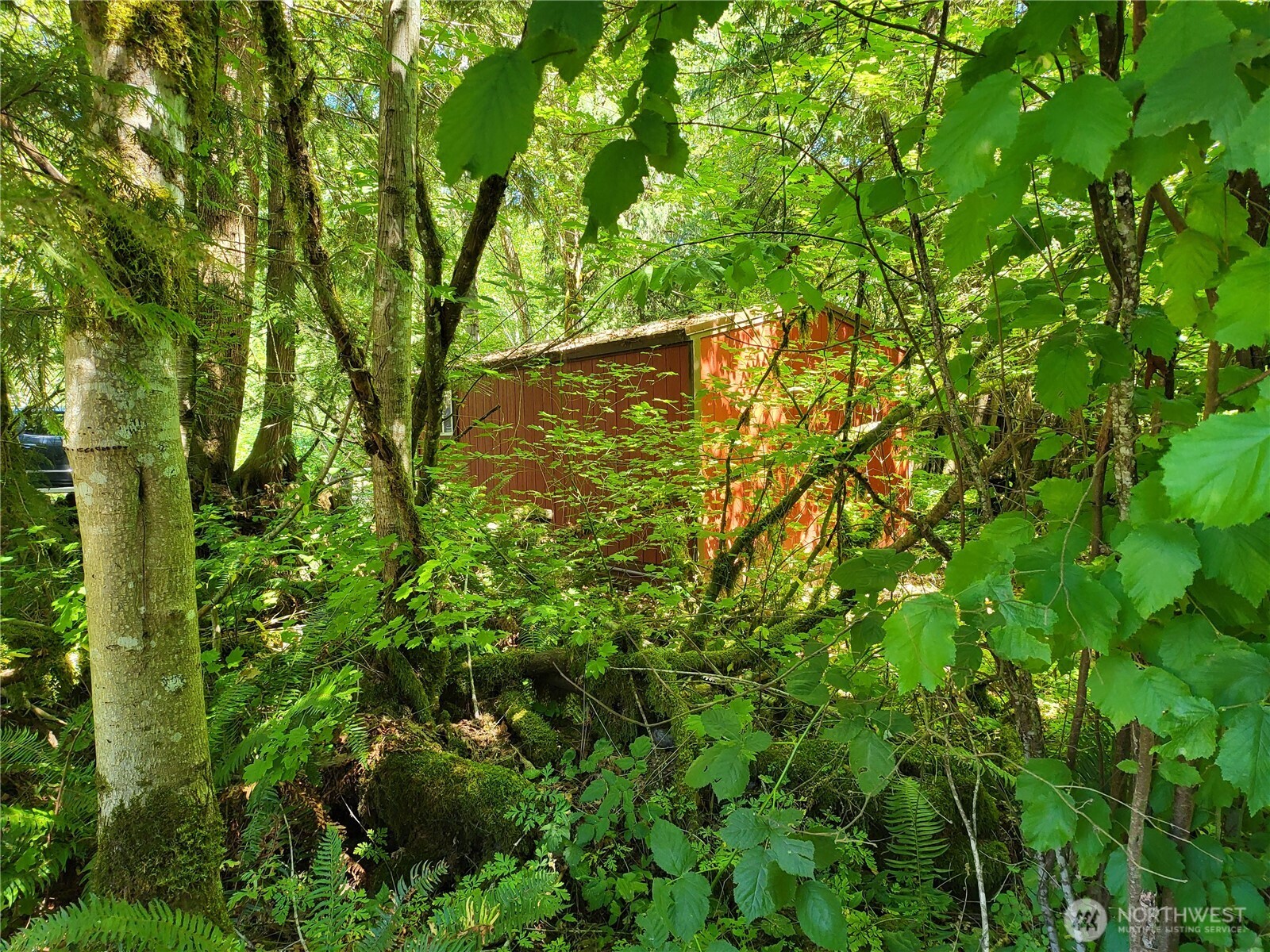 110 Cedar Grove Road Randle, WA 98377 - Photo 17 of 40 Gallery Image 17