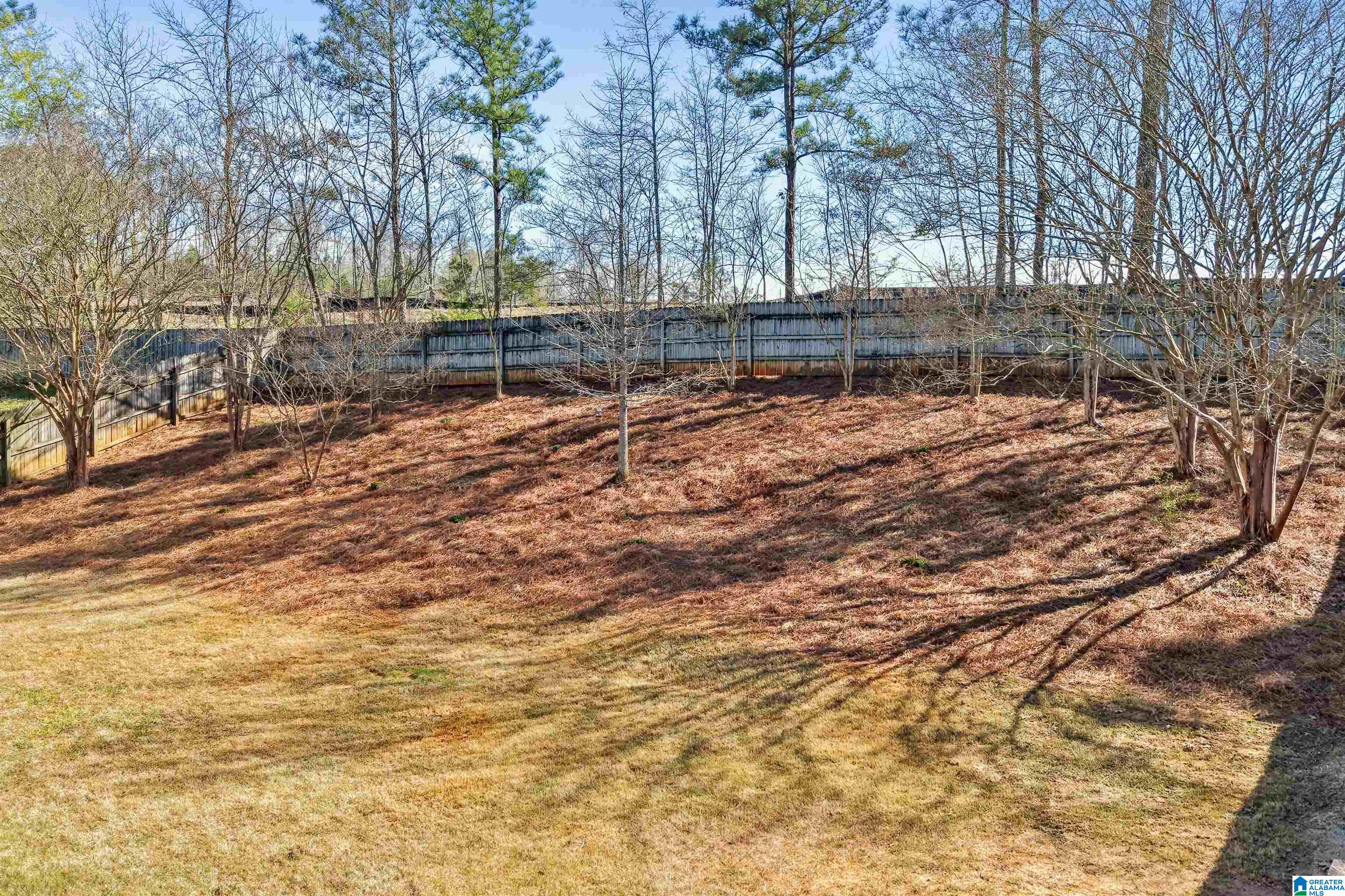 132 Victoria Station Alabaster, AL 35114 - Photo 37 of 50