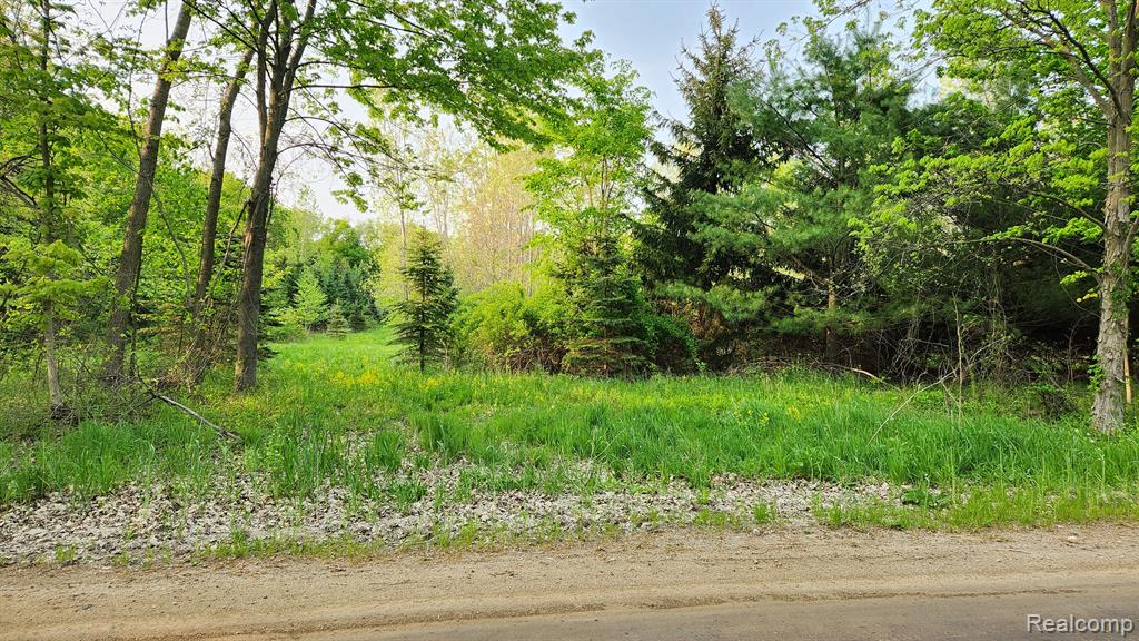 0 East Lovejoy Road Linden, MI 48451 - Photo 2 of 3
