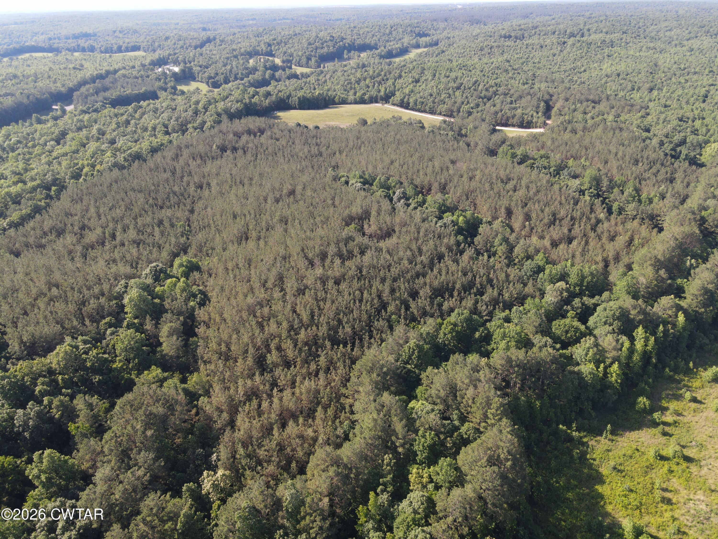 0 Walter Mills Road Sugar Tree, TN 38380 - Photo 10 of 15 DJI_0562.JPGR
