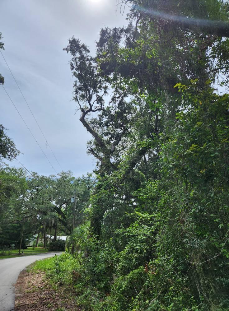 Lot 9 Sunset Trail Freeport, FL 32439 - Photo 1 of 3 Road View Lot 9