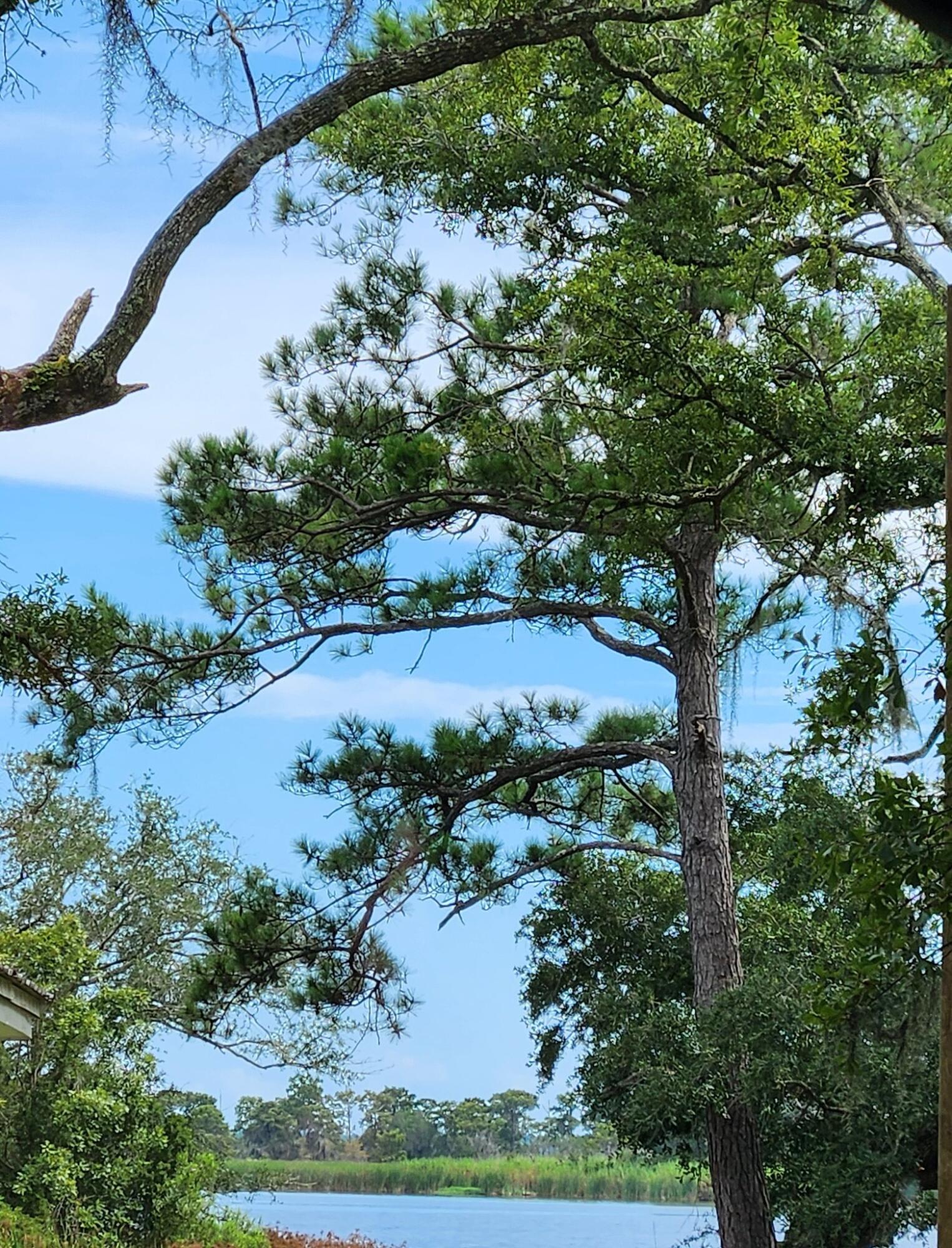 Lot 9 Sunset Trail Freeport, FL 32439 - Photo 2 of 3 Across from Lot 9 Sunset