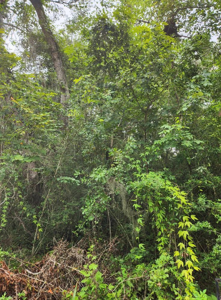 Lot 9 Sunset Trail Freeport, FL 32439 - Photo 3 of 3 Lot 9 Sunset