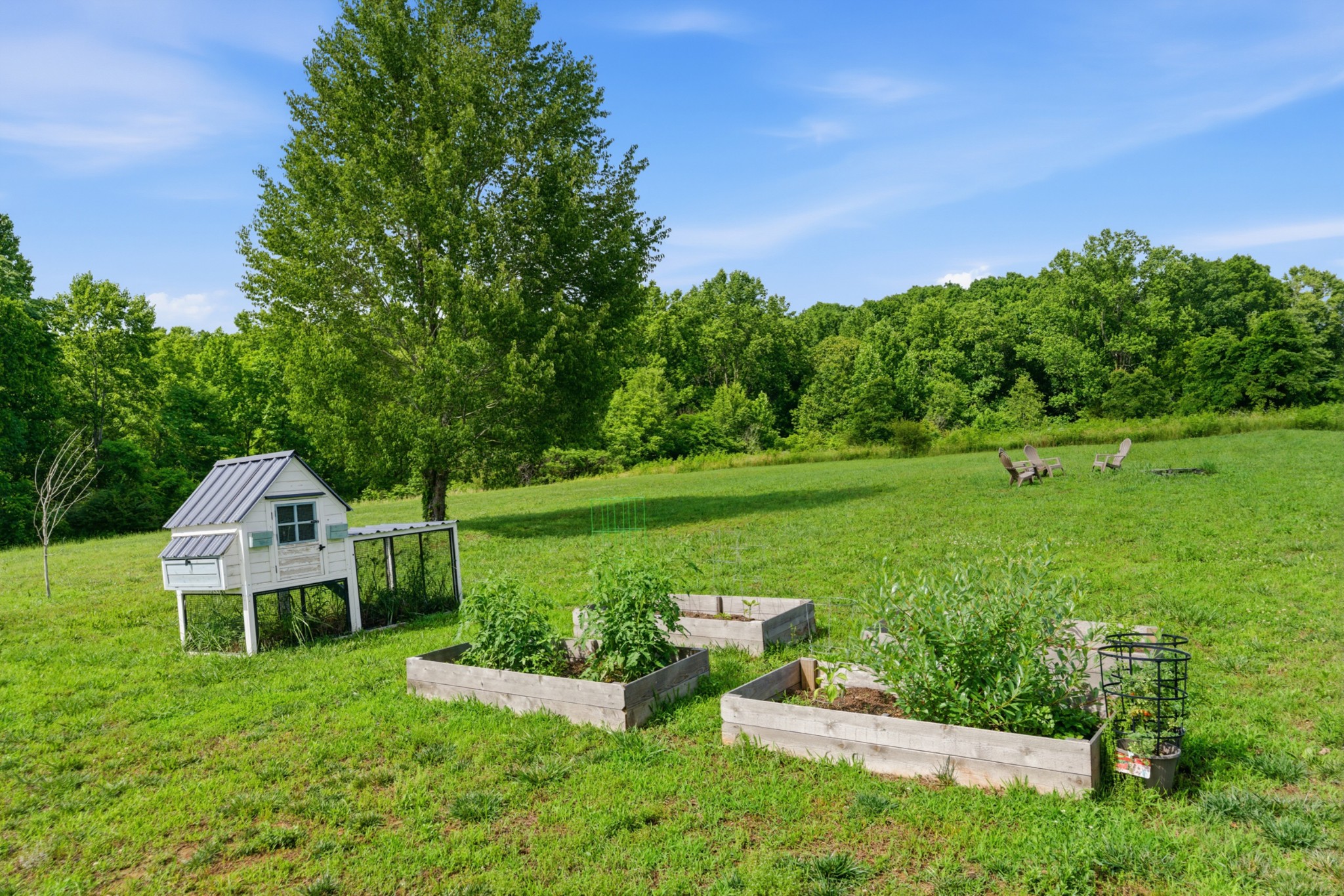 7958 Daugherty-Capley Road Primm Springs, TN 38476 - Photo 44 of 52