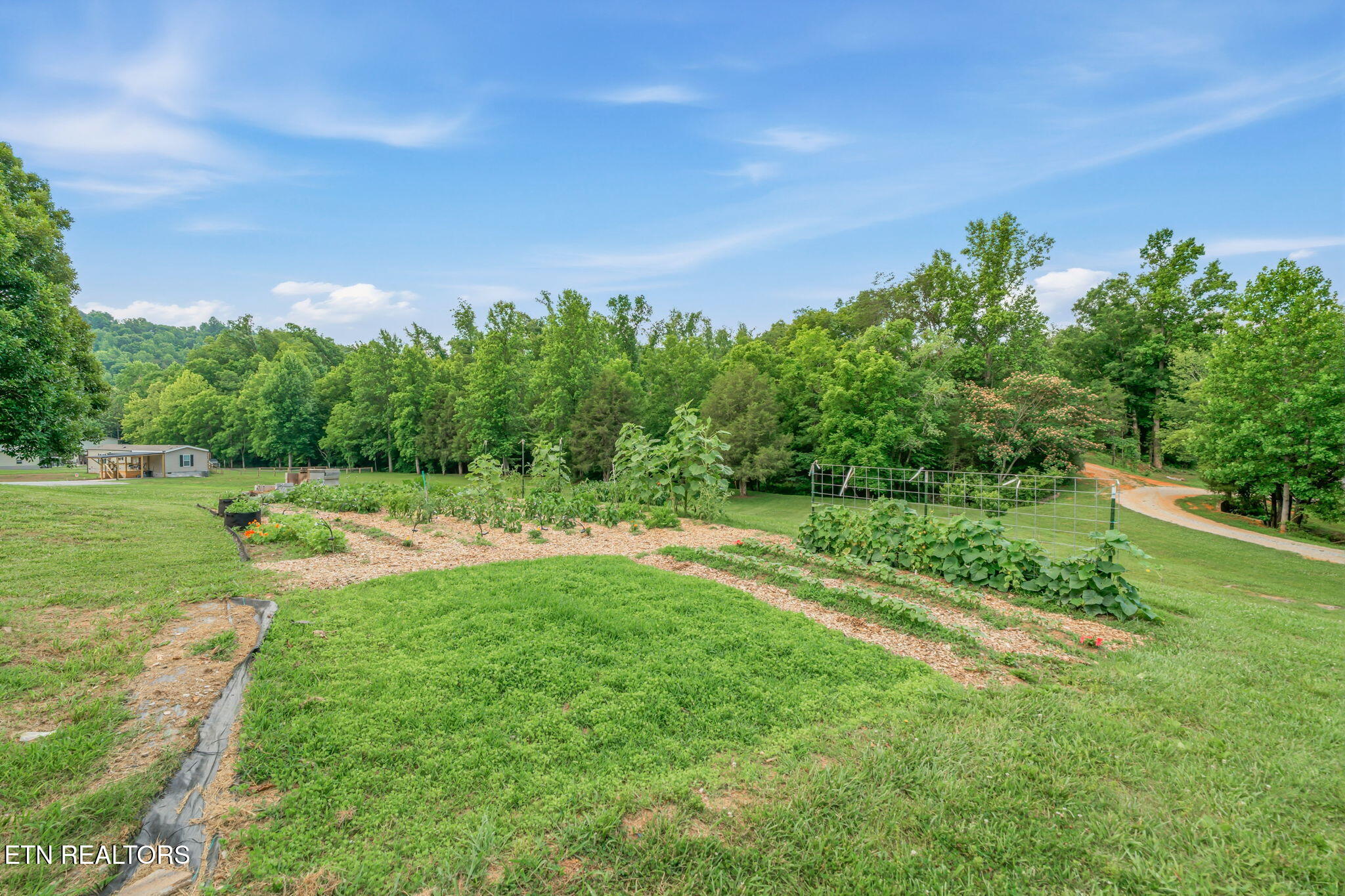 286 JD Farm Road Tellico Plains, TN 37385 - Photo 45 of 58 GARDEN OF LIFE