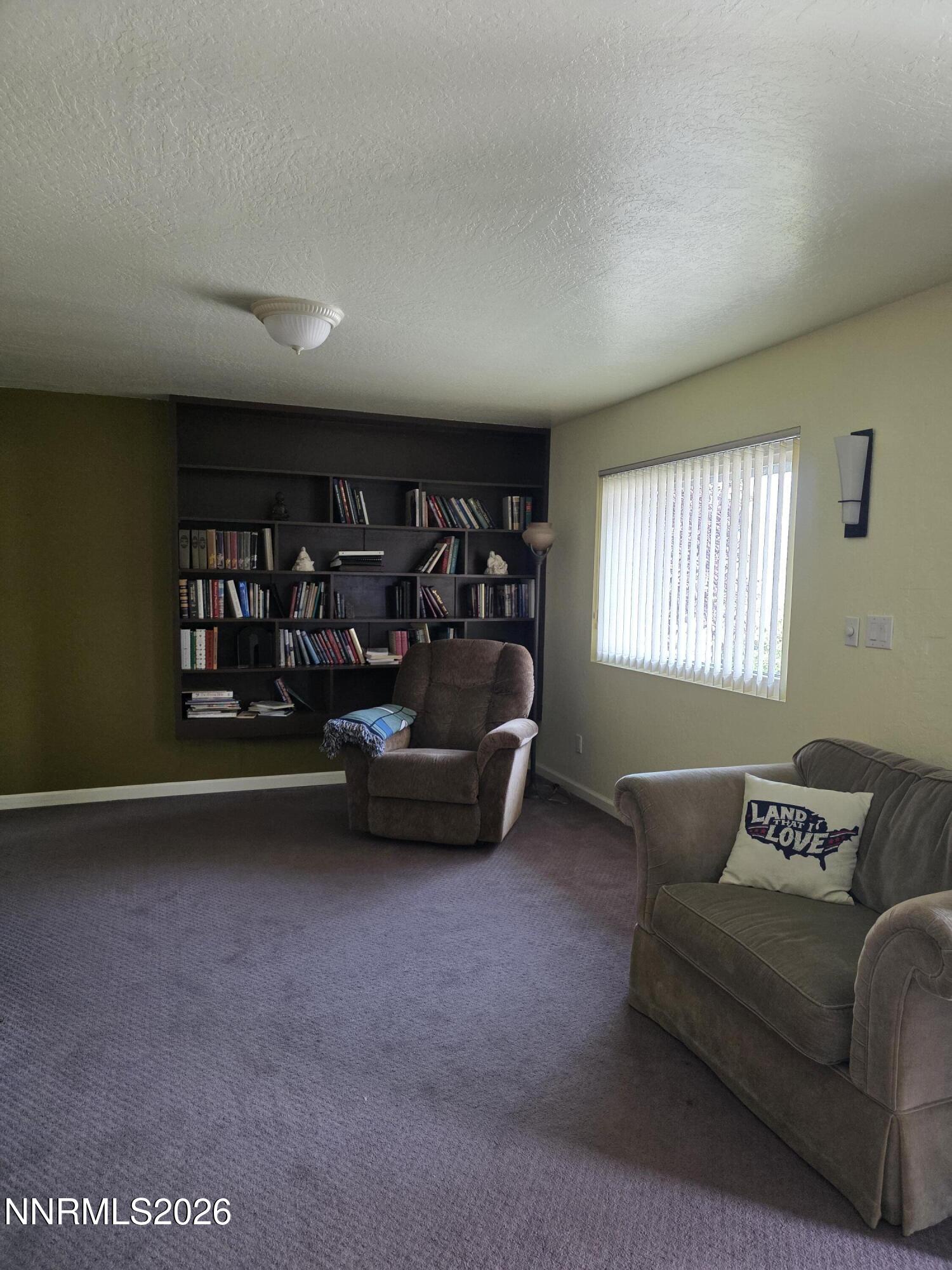 359 E Street Hawthorne, NV 89415 - Photo 5 of 30 23857