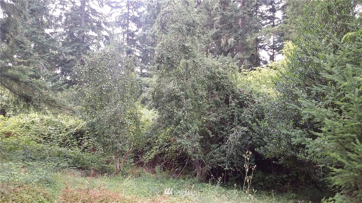 5200 Northeast 12th Street Renton, WA 98059 - Photo 8 of 8