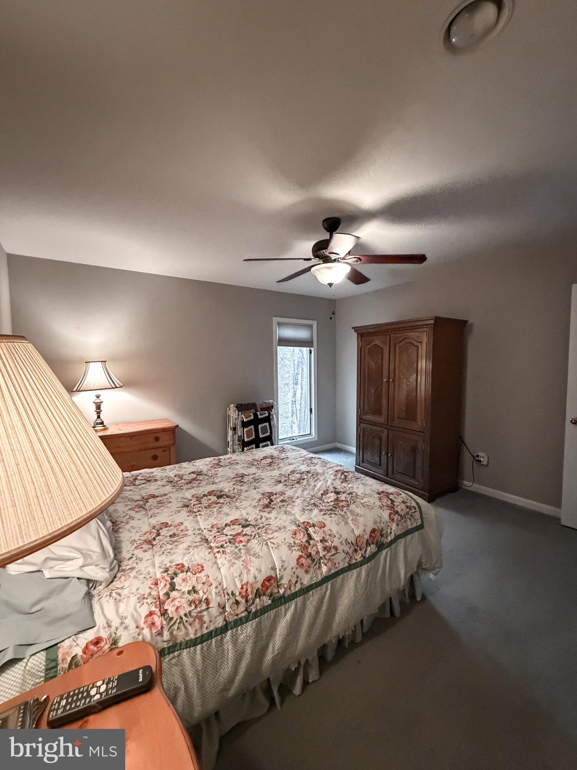 3300 Viola Way Bumpass, VA 23024 - Photo 23 of 36 a bedroom with a large bed and a chandelier