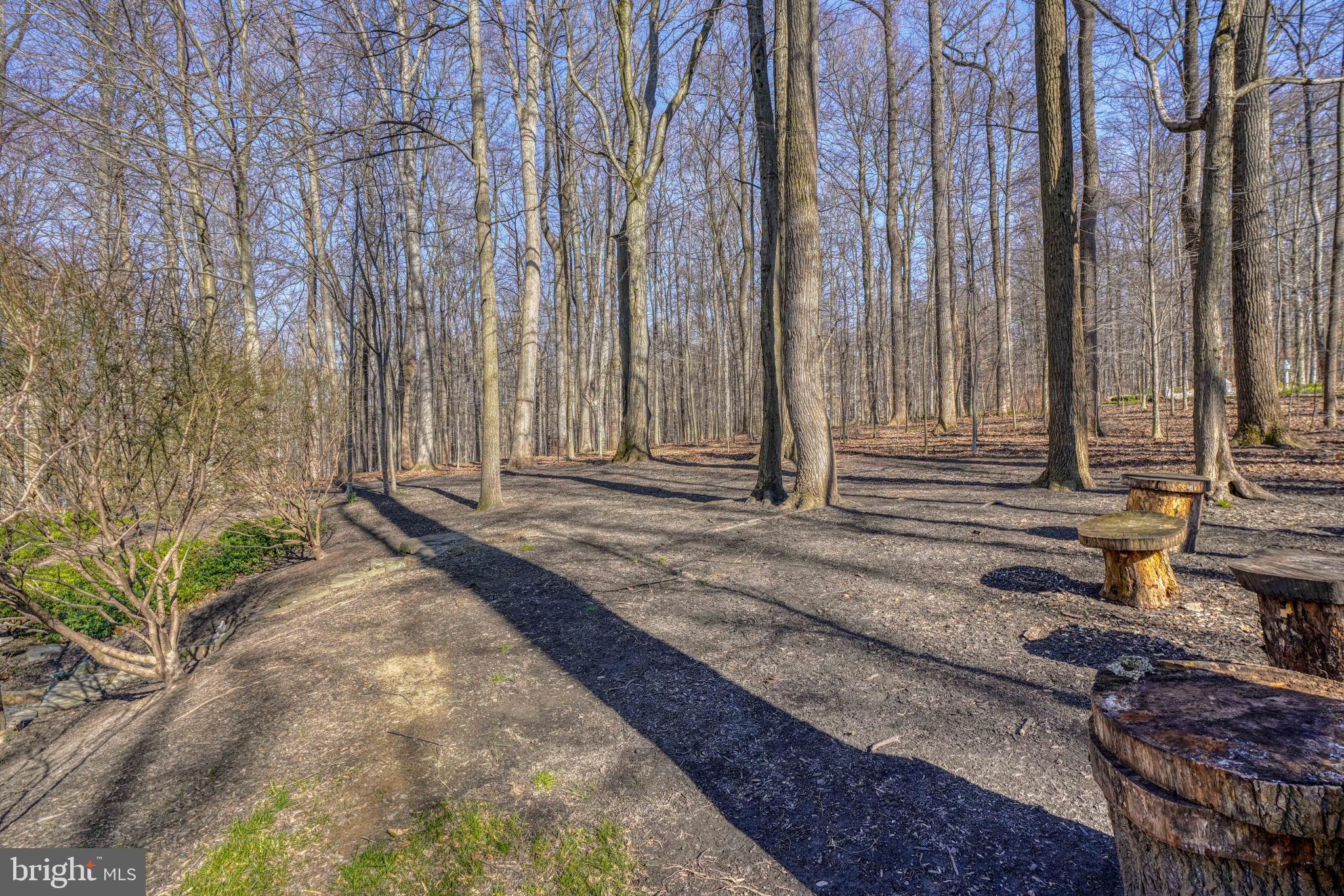2318 Blue Mt Road Monkton, MD 21111 - Photo 57 of 58