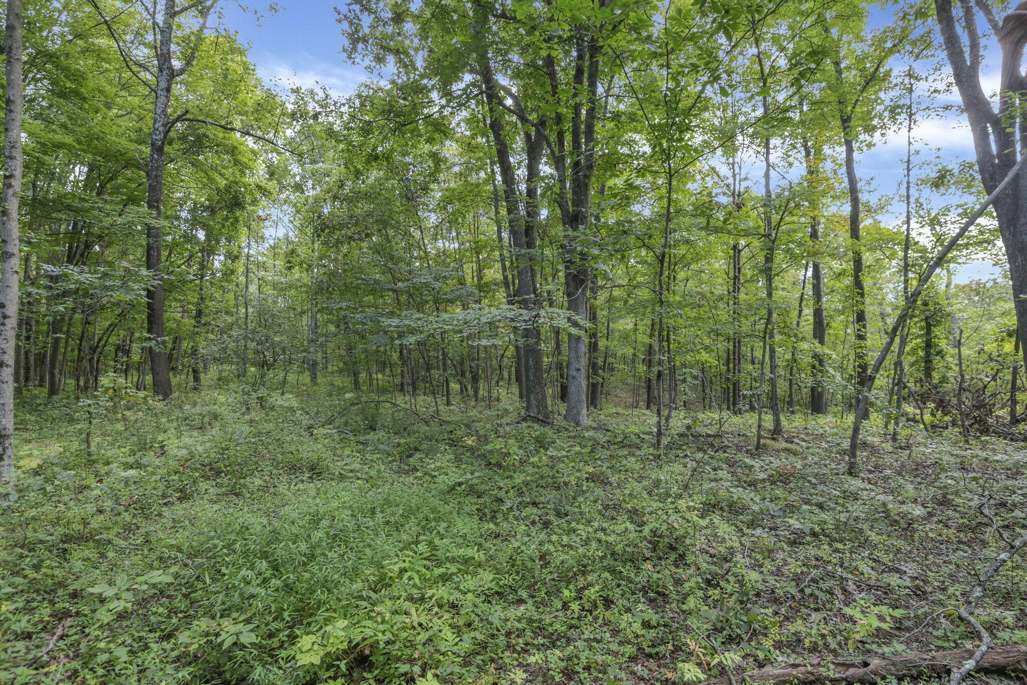 6545 Long Run Road Athens, OH 45701 - Photo 38 of 68 40-web-or-mls-939A2118