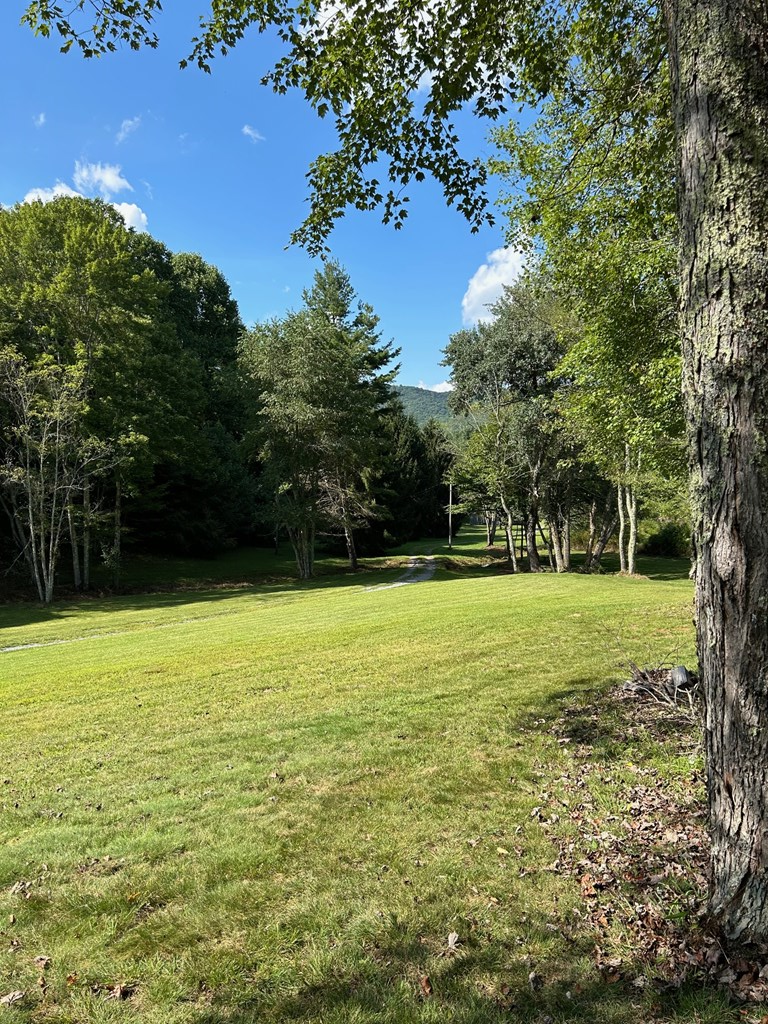 21240 Locust Branch Road Damascus, VA 24236 - Photo 18 of 57 Gallery Image 18