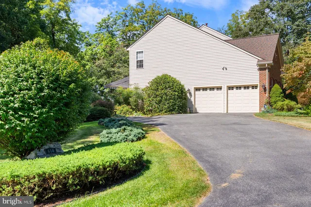 a view of outdoor space with trees all around