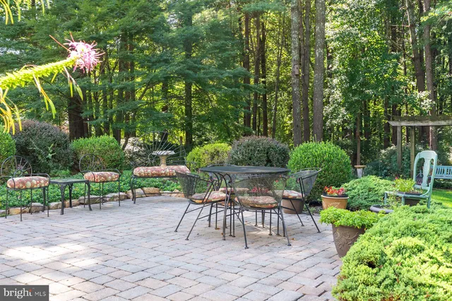 a view of outdoor space with trees all around
