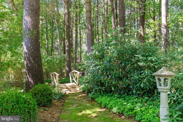 a view of yard with trees