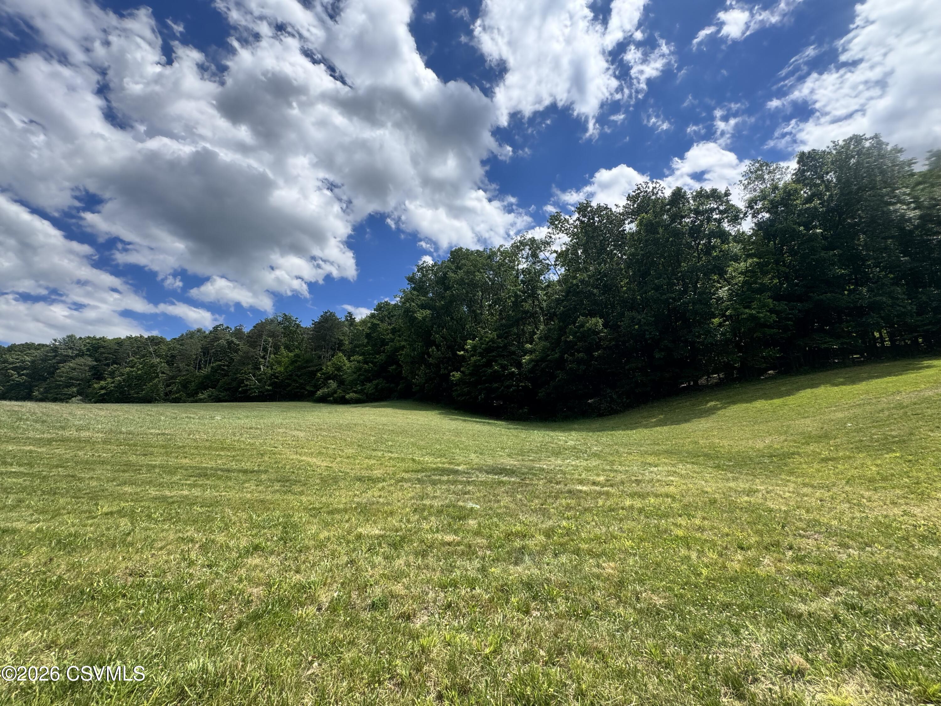 Lot #6 Old Reading Road Sunbury, PA 17801 - Photo 1 of 9