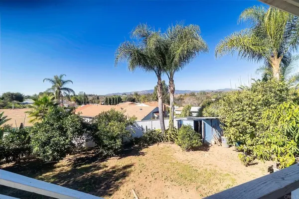 a view of a yard with a tree
