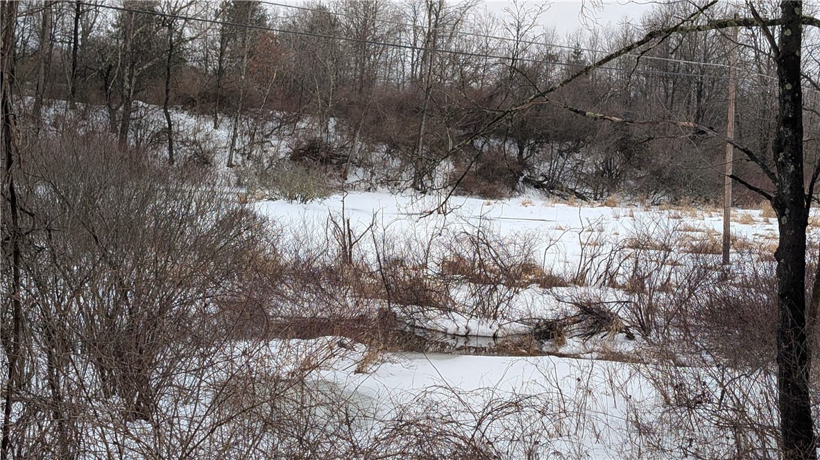 Algerine Street Afton, NY 13730 - Photo 3 of 10