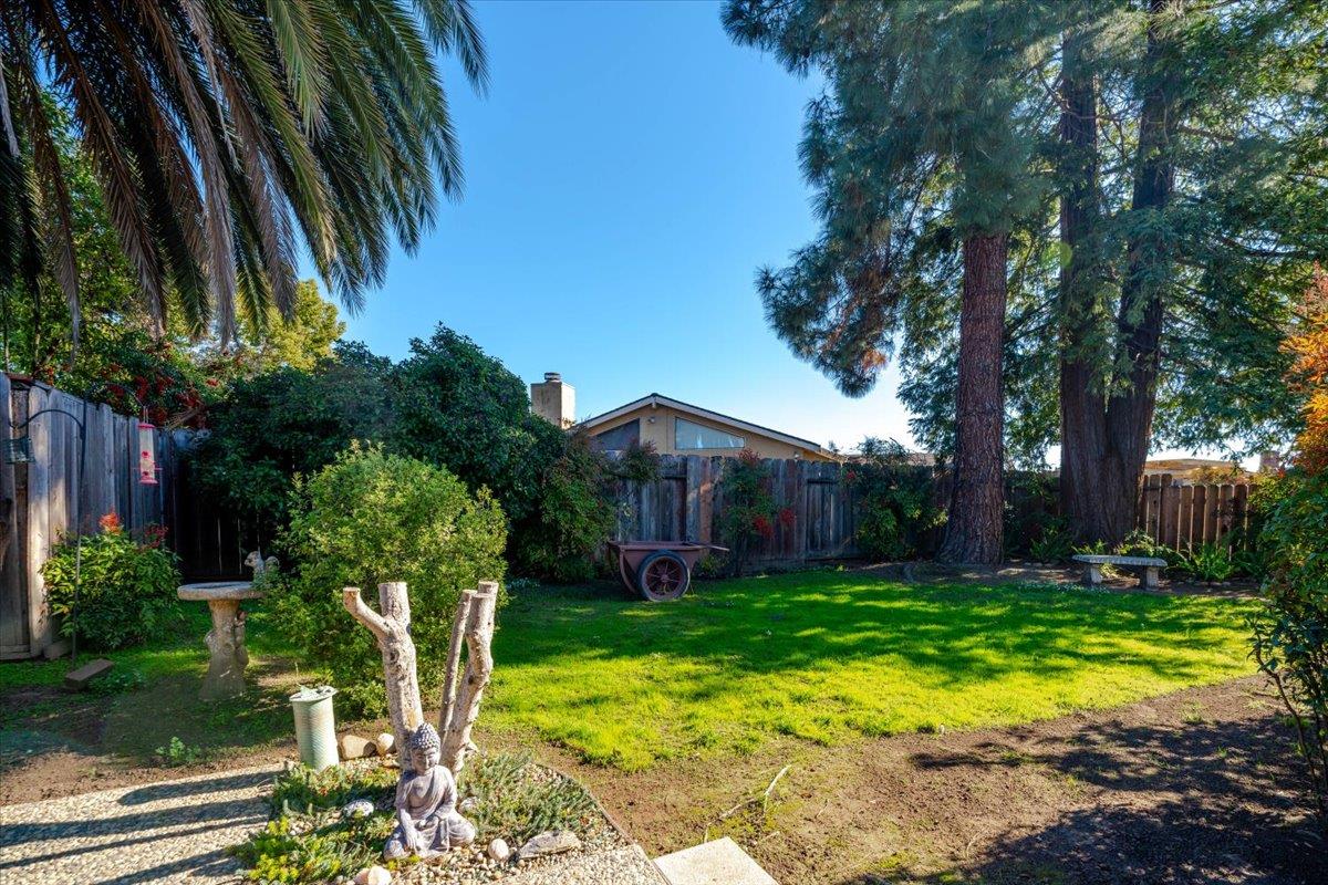 7770 Laurel Drive Gilroy, CA 95020 - Photo 31 of 35 a front view of a house with garden