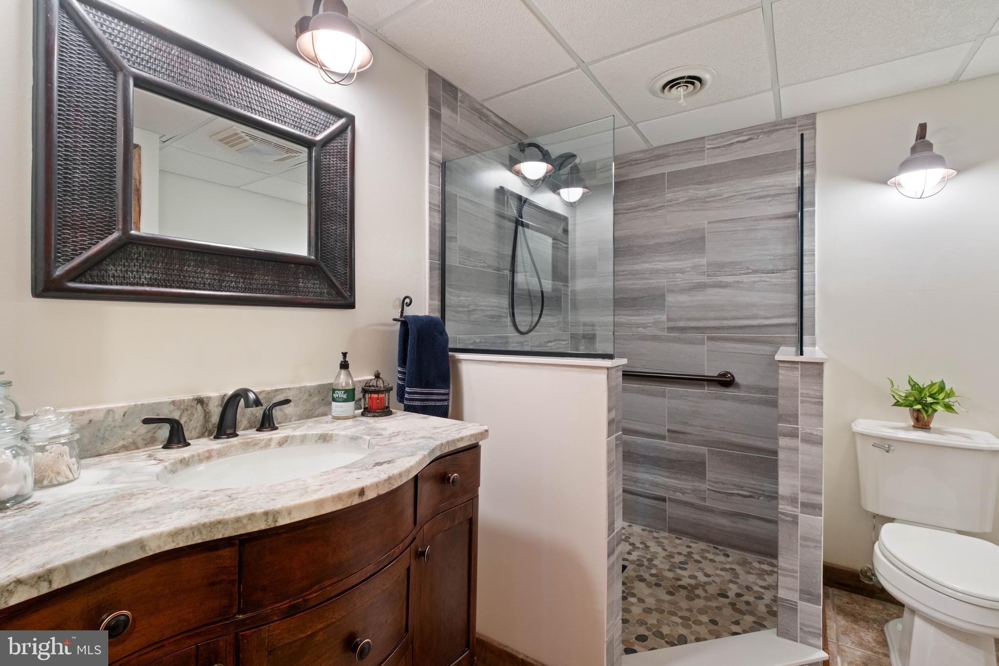 125 Ruta Lane Swanton, MD 21561 - Photo 43 of 77 Lower Level Full Bath with ADA Features