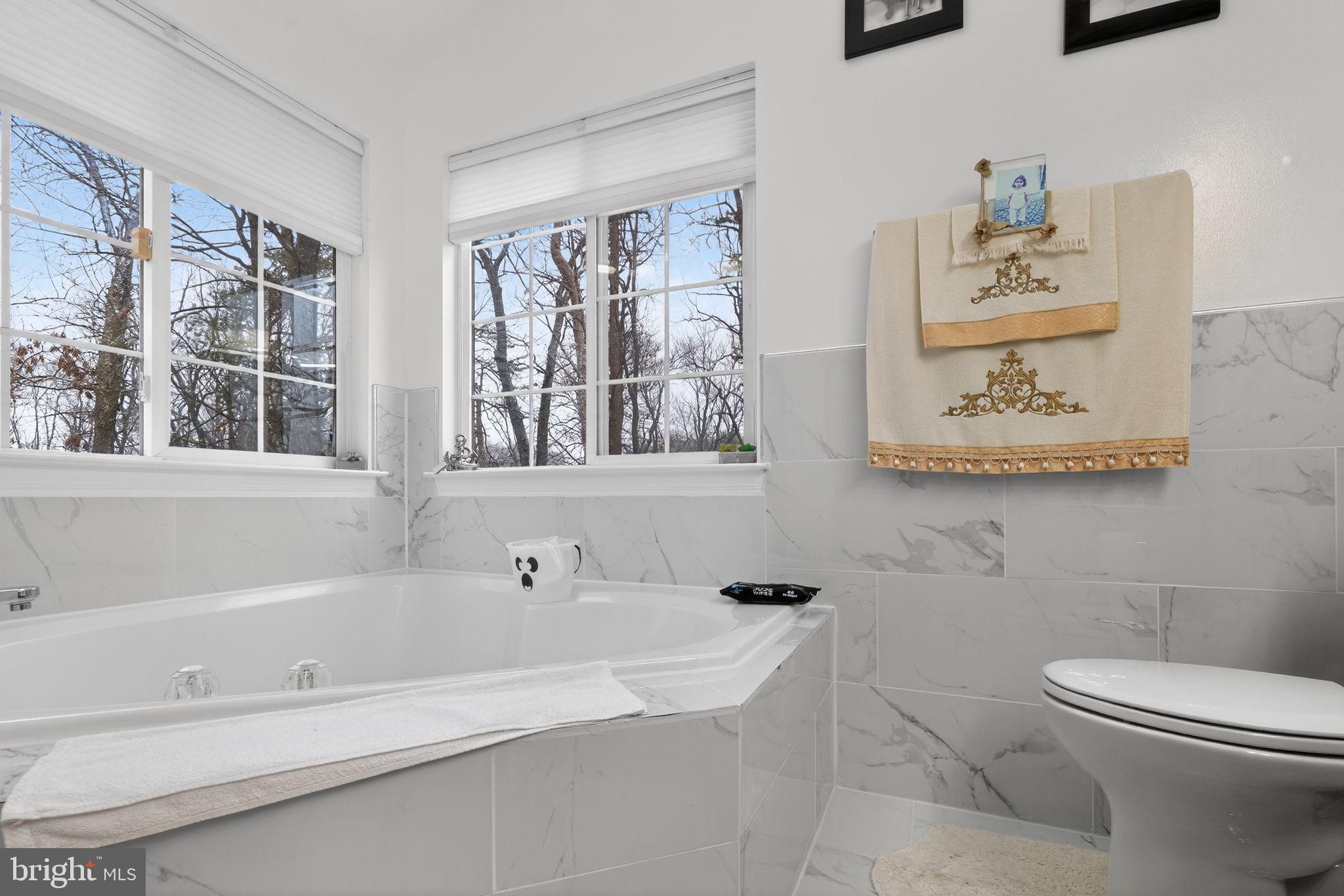 15010 Blackburn Road Burtonsville, MD 20866 - Photo 19 of 34