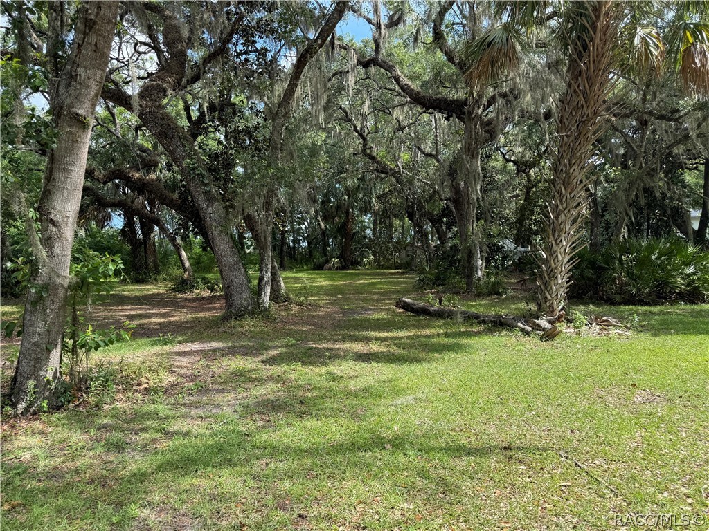 5191 East Parsons Point Road Hernando, FL 34442 - Photo 3 of 4