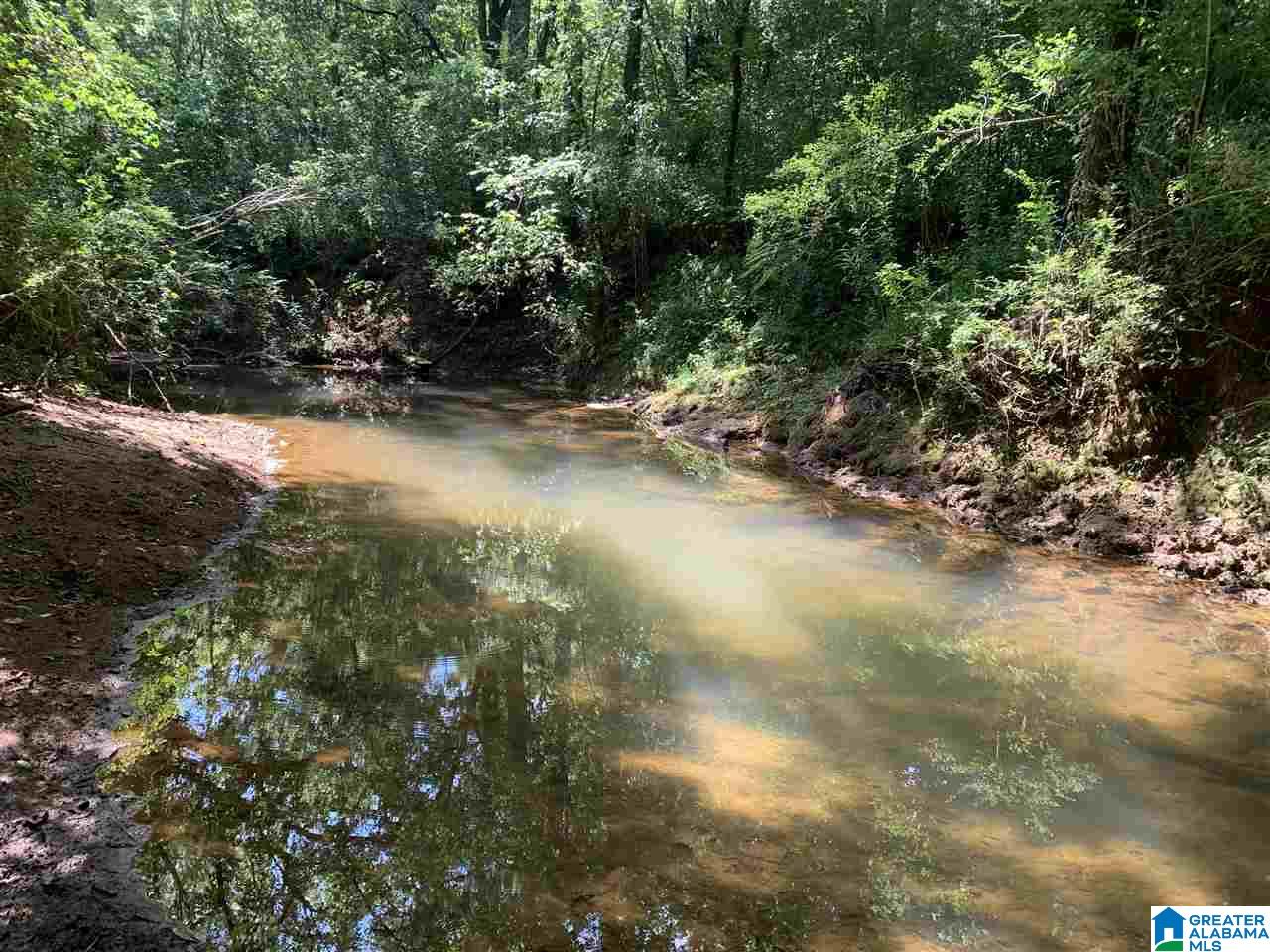 125 Running Deer Road, Unit 20 Talladega, AL 35160 - Photo 2 of 10